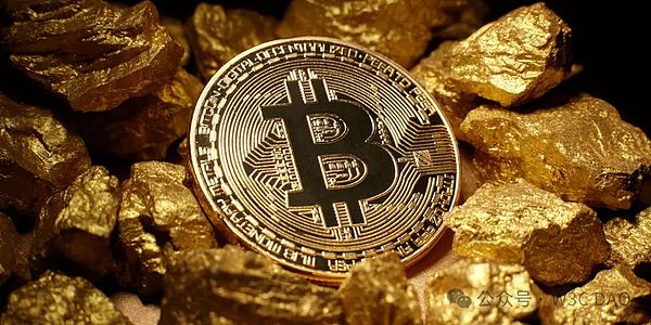 沙漠中的金融革命：CamelPayment如何重塑阿联酋经济版图