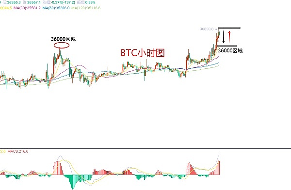 以太坊：一朵迟开的玫瑰，终将绽放？