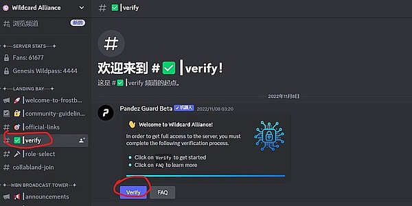ETF热潮下：比特币持仓量为何在低迷市场中异军突起？