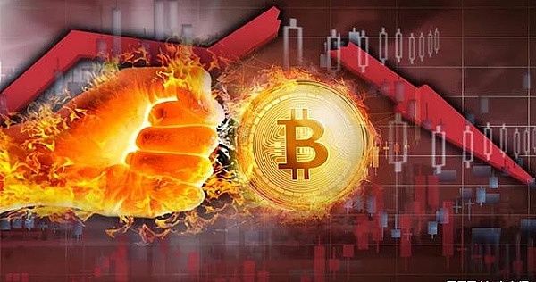 加密货币市场展望：BTC站稳脚跟，山寨币蓄势待发